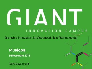 Grenoble Innovation for Advanced New Technologies