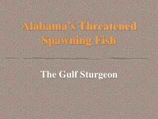 Alabama’s Threatened Spawning Fish