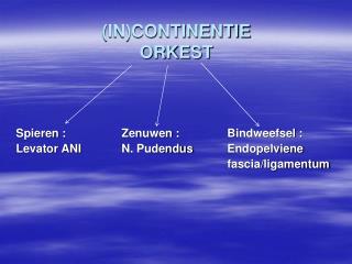 (IN)CONTINENTIE ORKEST