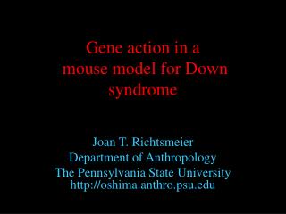 Gene action in a mouse model for Down syndrome