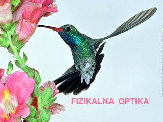 FIZIKALNA OPTIKA