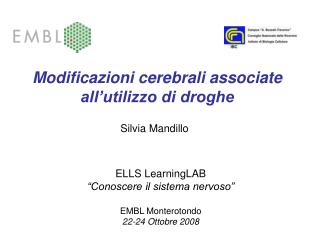 Modificazioni cerebrali associate all’utilizzo di droghe