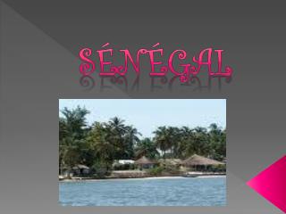 SÉNÉGAL