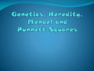 Genetics, Heredity, Mendel and Punnett Squares