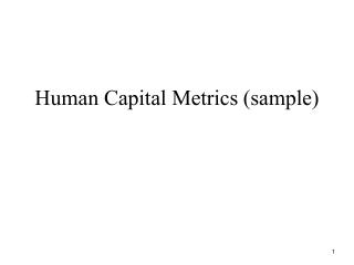 Human Capital Metrics (sample)