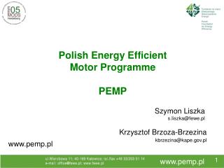 Polish Energy Efficient Motor Programme PEMP