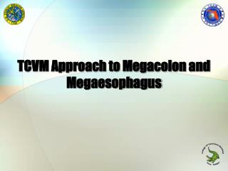 TCVM Approach to Megacolon and Megaesophagus