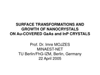 SURFACE TRANSFORMATIONS AND GROWTH OF NANOCRYSTALS ON Au-COVERED GaAs and InP CRYSTALS