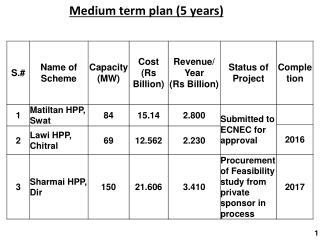 Medium term plan (5 years)