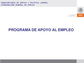 PROGRAMA DE APOYO AL EMPLEO