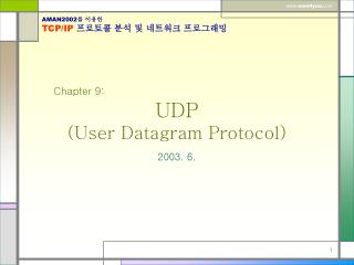 UDP (User Datagram Protocol)