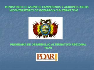 PROGRAMA DE DESARROLLO ALTERNATIVO REGIONAL PDAR