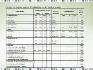 Çizelge 38. Buğday Maliyeti Hesabı (fiziki veriler 1 dekar içindir)