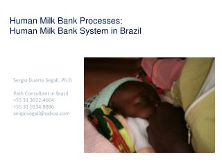 Human Milk Bank Processes: Human Milk Bank System in Brazil