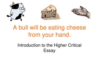 A bull will be eating cheese from your hand.