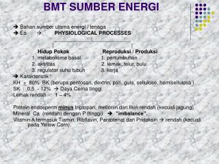 BMT SUMBER ENERGI