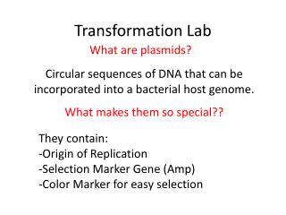 Transformation Lab