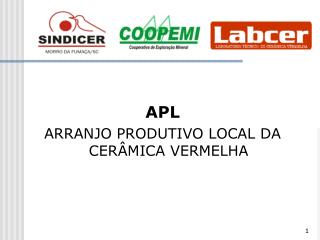 APL ARRANJO PRODUTIVO LOCAL DA CERÂMICA VERMELHA