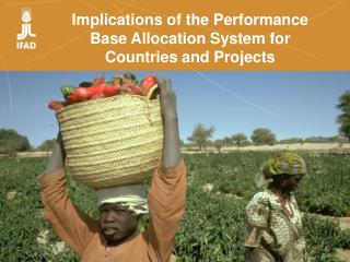 Implications of the Performance Base Allocation System for Countries and Projects