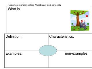 Graphic organizer notes: Vocabulary and concepts