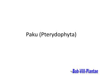 Paku (Pterydophyta)