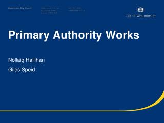 Primary Authority Works