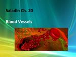 Saladin Ch. 20 Blood Vessels