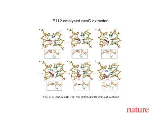 Y Qi et al. Nature 462 , 762-766 (2009) doi:10.1038/nature08 561