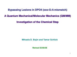 Bypassing Lesions in DPO4 (oxo-G:A mismatch)