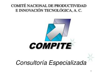 Consultoría Especializada