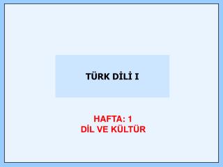 TÜRK DİLİ I