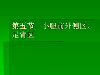 第五节 小腿前外侧区、 足背区