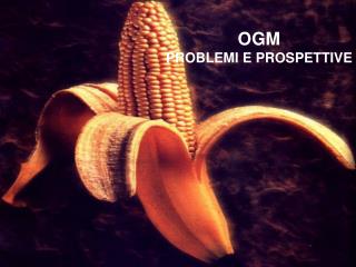 OGM PROBLEMI E PROSPETTIVE