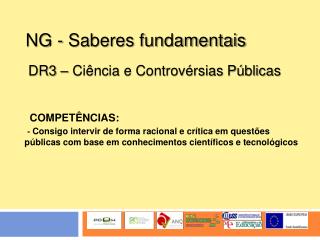 NG - Saberes fundamentais