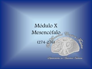 Módulo X Mesencéfalo