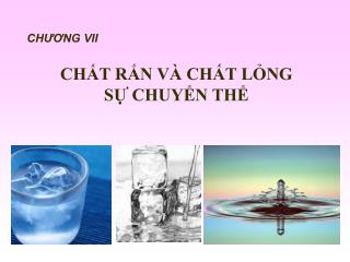 CHƯƠNG VII