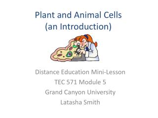 Plant and Animal Cells (an Introduction)