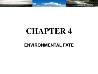 CHAPTER 4