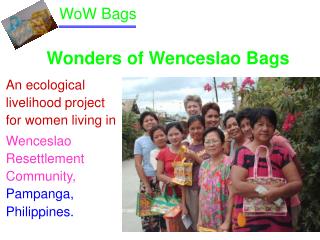 Wonders of Wenceslao Bags