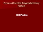 Process Oriented Biogeochemistry Models