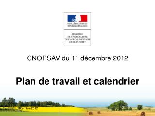 CNOPSAV du 11 décembre 2012