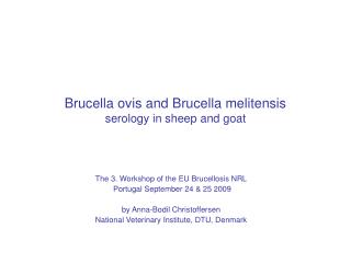 Brucella ovis and Brucella melitensis serology in sheep and goat