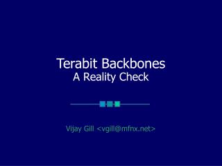 Terabit Backbones A Reality Check