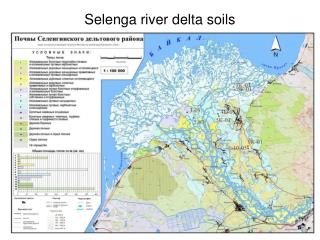 Selenga river delta soils