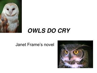 OWLS DO CRY