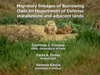 Migratory linkages of Burrowing Owls on Department of Defense installations and adjacent lands