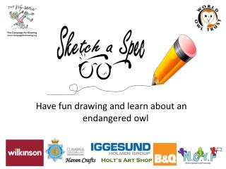 Have fun drawing and learn about an endangered owl