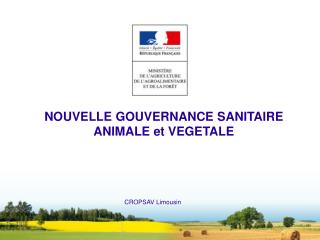 NOUVELLE GOUVERNANCE SANITAIRE ANIMALE et VEGETALE CROPSAV Limousin