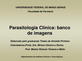 UNIVERSIDADE FEDERAL DE MINAS GERAIS Faculdade de Farmácia