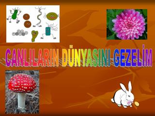 CANLILARIN DÜNYASINI GEZELİM